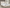 Devon 57-inch Upholstered Eastern King Panel Bed