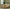 Sydney Eastern King Headboard and Footboard Bed