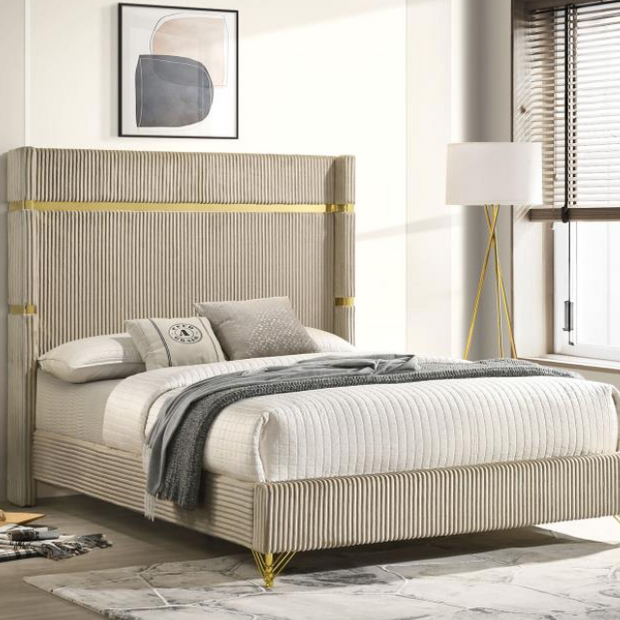 Lucia 61-inch Upholstered Queen Wingback Bed