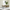 Misty 5-piece Rectangular Dining Set