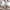 Phelps 5-piece Rectangular Dining Table Set