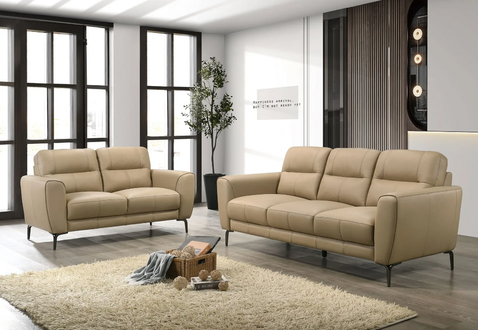 Comfort 2-Piece Sofa Set