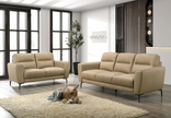 Comfort 2-Piece Sofa Set
