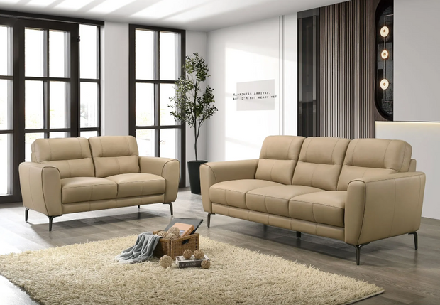 Comfort 2-Piece Sofa Set