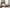 Laughton Banana Leaf Eastern King Panel Bed